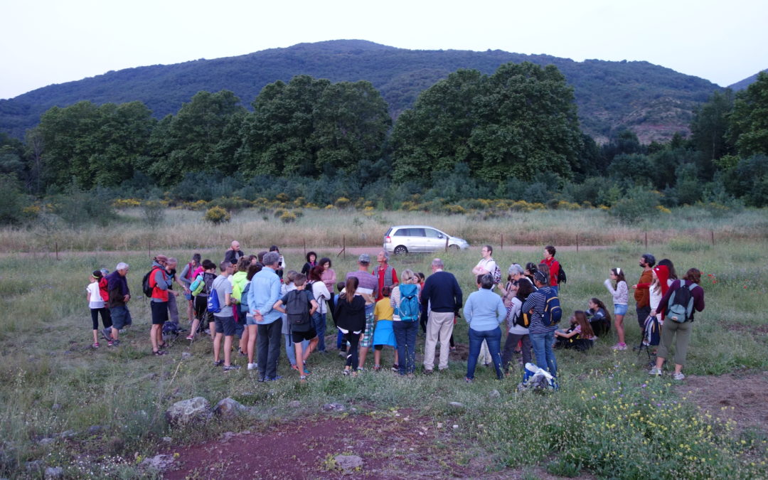 Balade nocturne au lac du Salagou