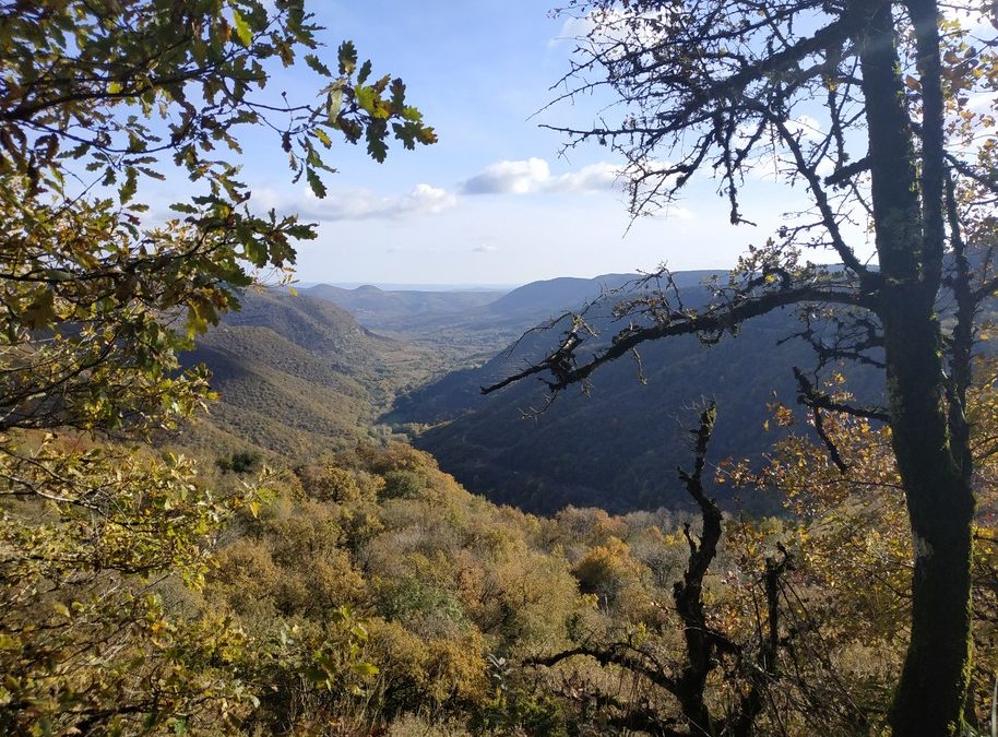 Balade autour de la grotte de Labeil du 14 novembre 2021
