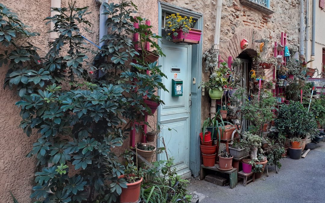 Ensemble, végétalisons le Centre-ville de Saint André de Sangonis